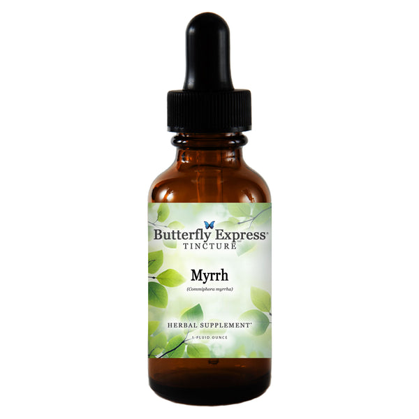 Myrrh Tincture Wholesale  <h6>Commiphora myrrha</h6>