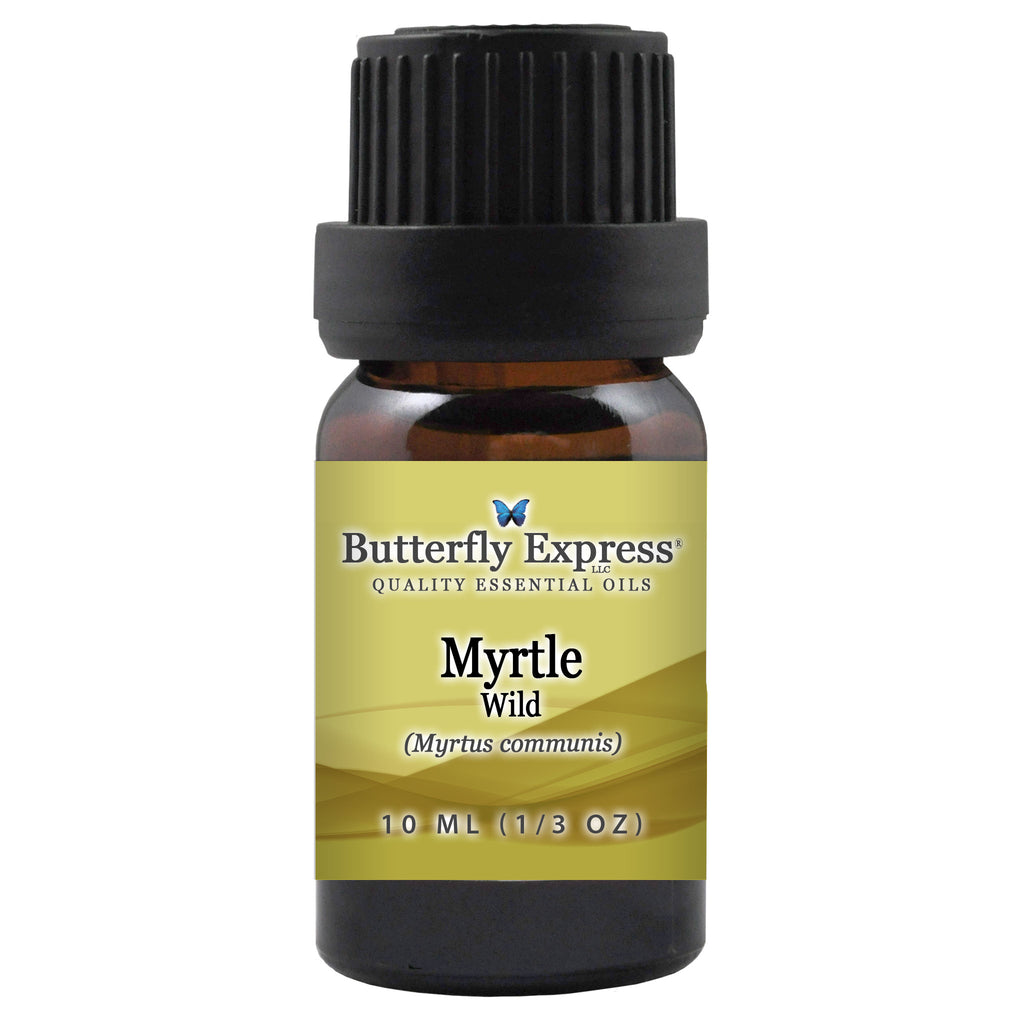 Myrtle Wild Essential Oil  <h6>Myrtus communis</h6>