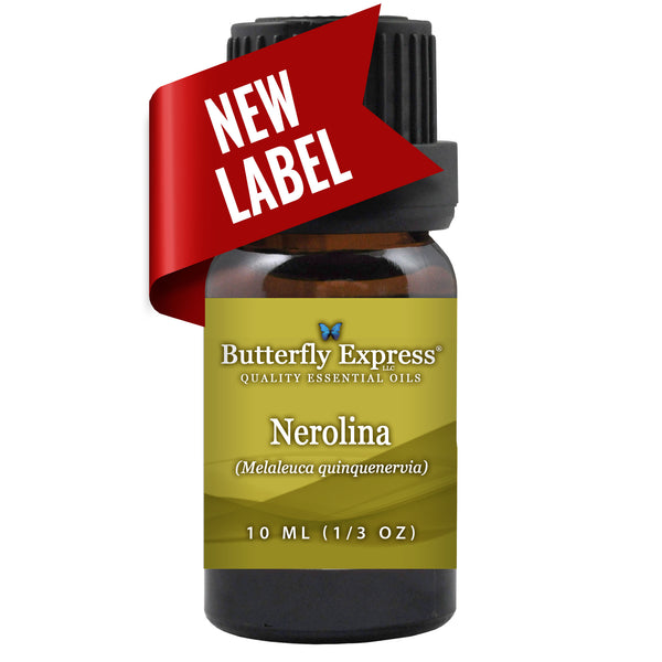 Nerolina Essential Oil Wholesale  <h6>Melaleuca quinquenervia</h6>