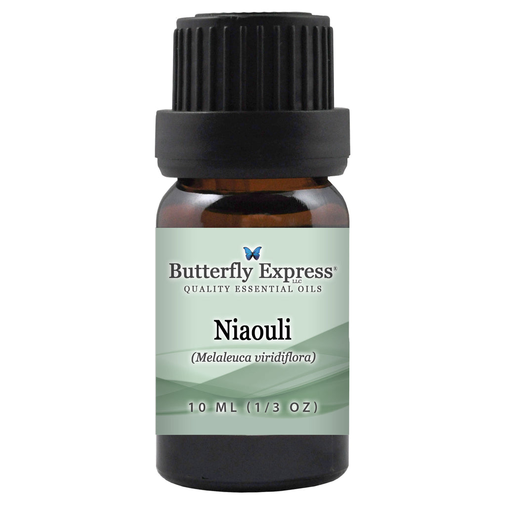 Niaouli Essential Oil  <h6>Melaleuca viridiflora: also know as quinquenervia</h6>