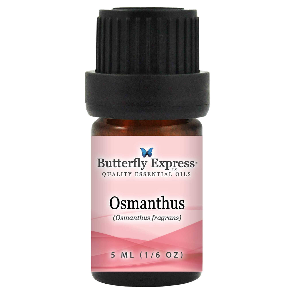 Osmanthus Essential Oil  <h6>Osmanthus fragrans</h6>