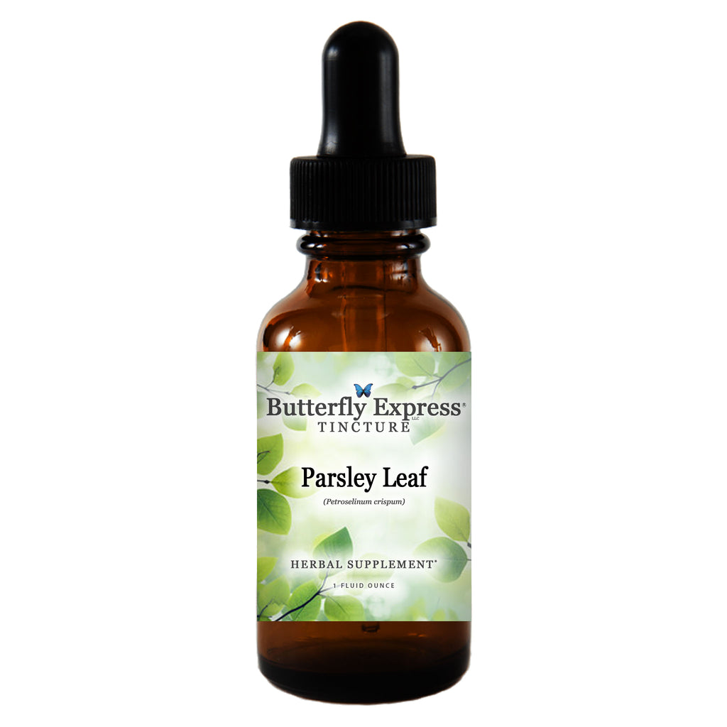 Parsley Leaf Tincture  <h6>Petroselinum crispum</h6>