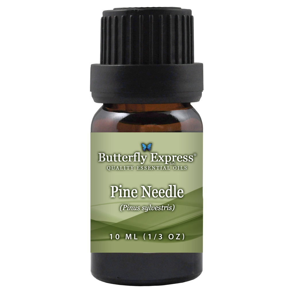 Pine Needle Essential Oil <h6>Pinus sylvestris</h6>