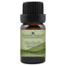 Pine Needle Essential Oil <h6>Pinus sylvestris</h6>