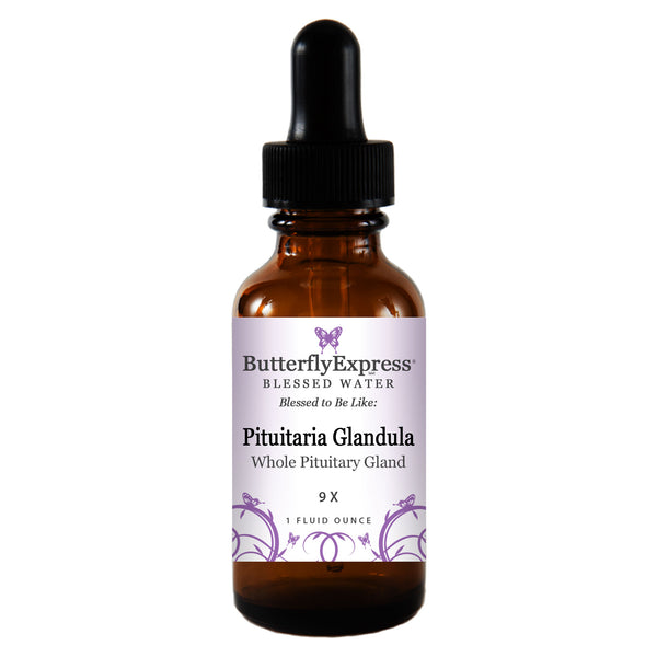 Pituitaria Glandula (formerly Raw Pituitary Gland) Wholesale