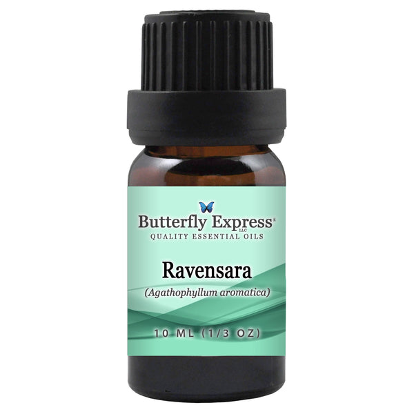 Ravensara Essential Oil Wholesale  <h6>Agathophyllum aromatica i.e. Ravensara aromatica</h6>