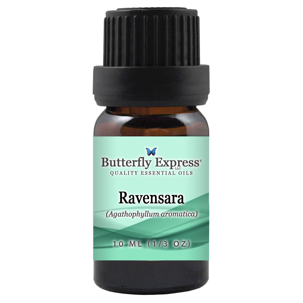 Ravensara Essential Oil  <h6>Agathophyllum aromatica i.e. Ravensara aromatica</h6>