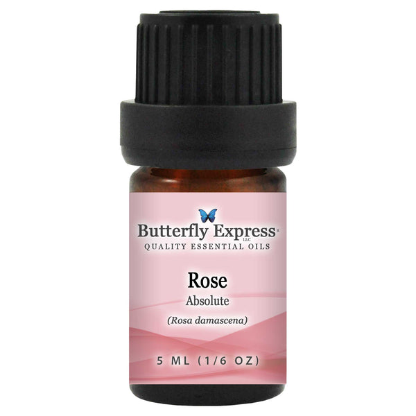 Rose Absolute Essential Oil  <h6>Rosa x damascena</h6>