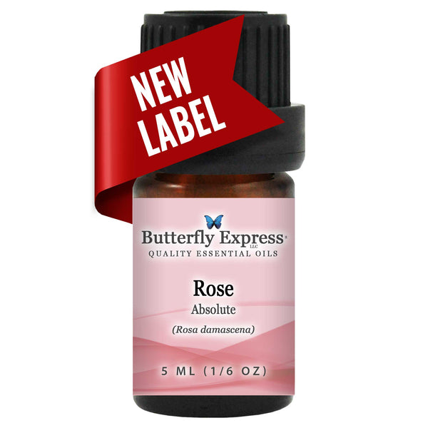 Rose Absolute Essential Oil  <h6>Rosa x damascena</h6>