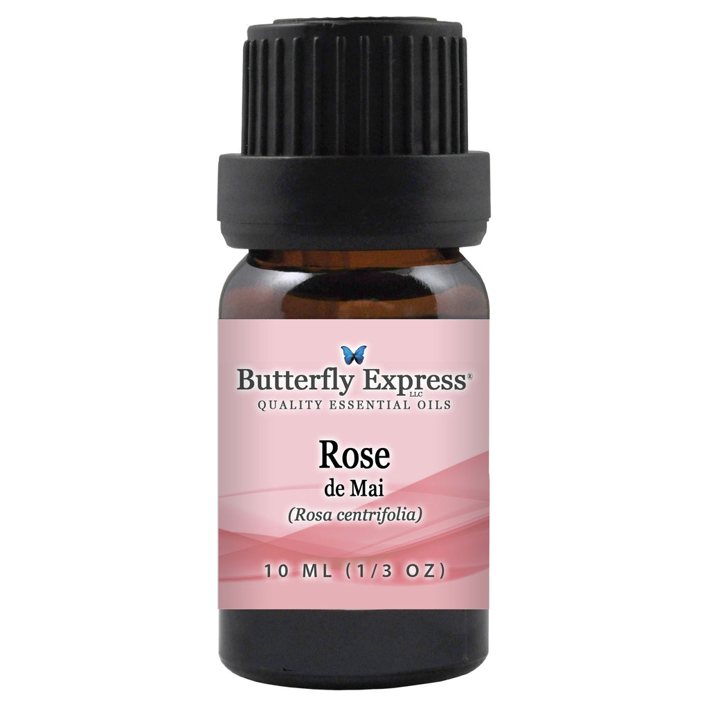 Rose de Mai Essential Oil  <h6>Rosa centrifolia</h6>