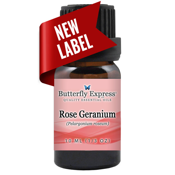 Rose Geranium Essential Oil <h6>Pelargonium roseum</h6>
