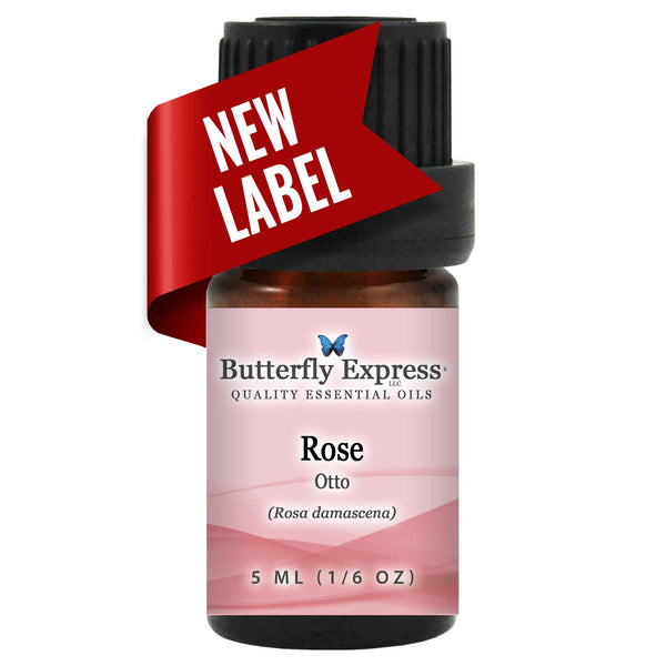 Rose Otto Essential Oil Wholesale  <h6>Rosa damascena</h6>