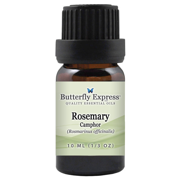 Rosemary Camphor Essential Oil Wholesale  <h6>Rosmarinus officinalis</h6>