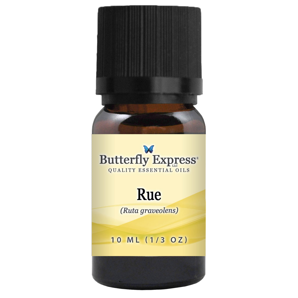 Rue Essential Oil  <h6>Ruta graveolens</h6>