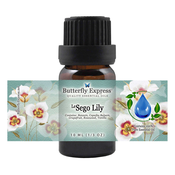 <sup>Le</sup>Sego Lily Essential Oil Wholesale