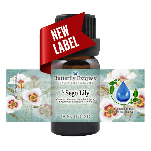 <sup>Le</sup>Sego Lily Essential Oil Wholesale