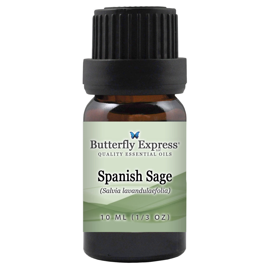 Spanish Sage Essential Oil  <h6>Salvia lavandulaefolia</h6>