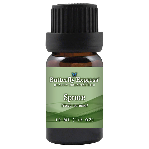 Spruce Picea Essential Oil  <h6>Picea mariana</h6>