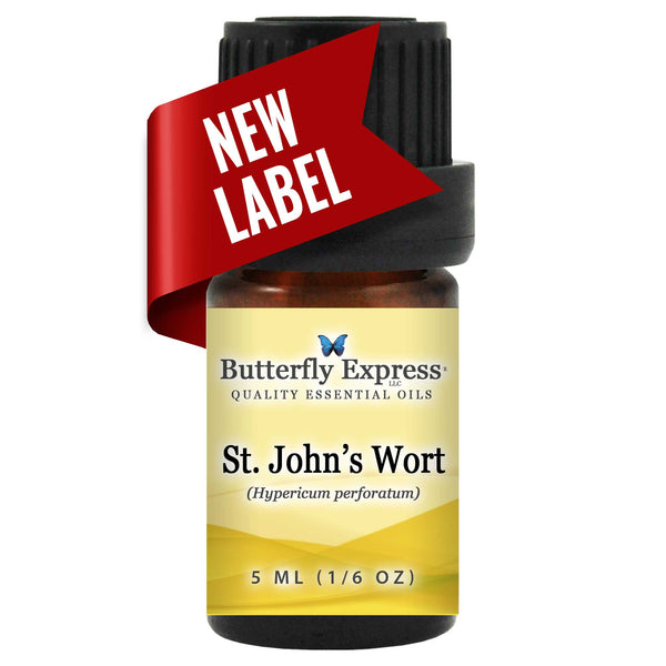 St. John's Wort Essential Oil Wholesale  <h6>Hypericum perforatum</h6>