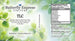 TLC Tincture  <h6>(Total Lymph Care)</h6>