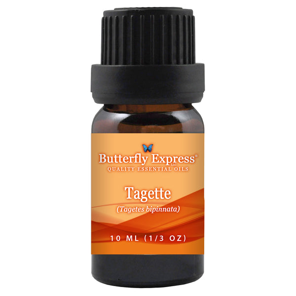 Tagette Essential Oil Wholesale  <h6>Tagetes bipinnata</h6>