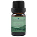 Tarragon Essential Oil  <h6>Artemisia dracunculus</h6>