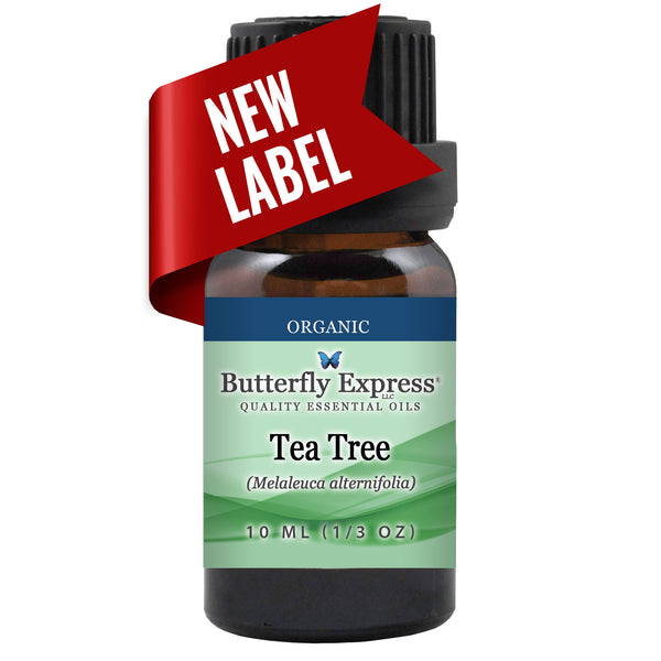 Tea Tree Organic Essential Oil Wholesale  <h6>Melaleuca alternifolia</h6>