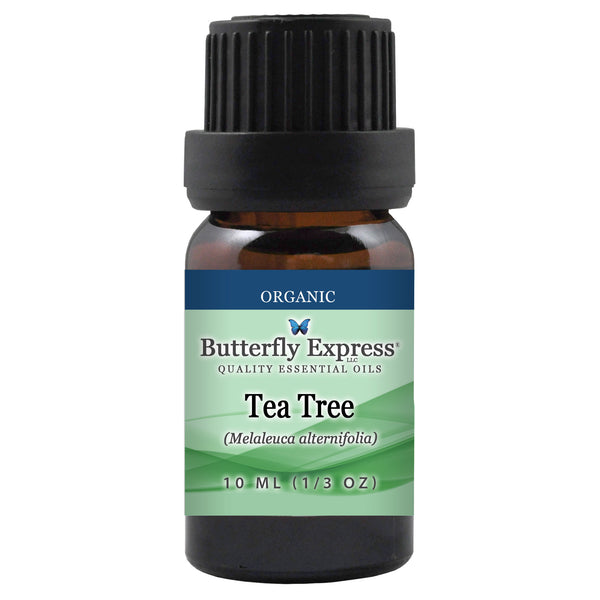 Tea Tree Organic Essential Oil Wholesale  <h6>Melaleuca alternifolia</h6>
