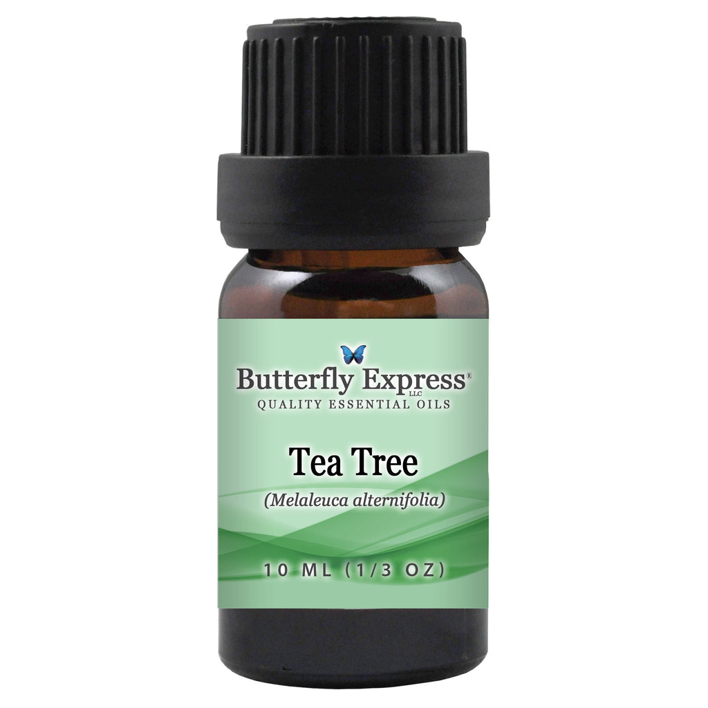 Tea Tree Essential Oil  <h6>Melaleuca alternifolia</h6>