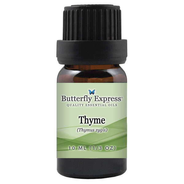 Thyme Essential Oil Wholesale  <h6>Thymus zygis</h6>