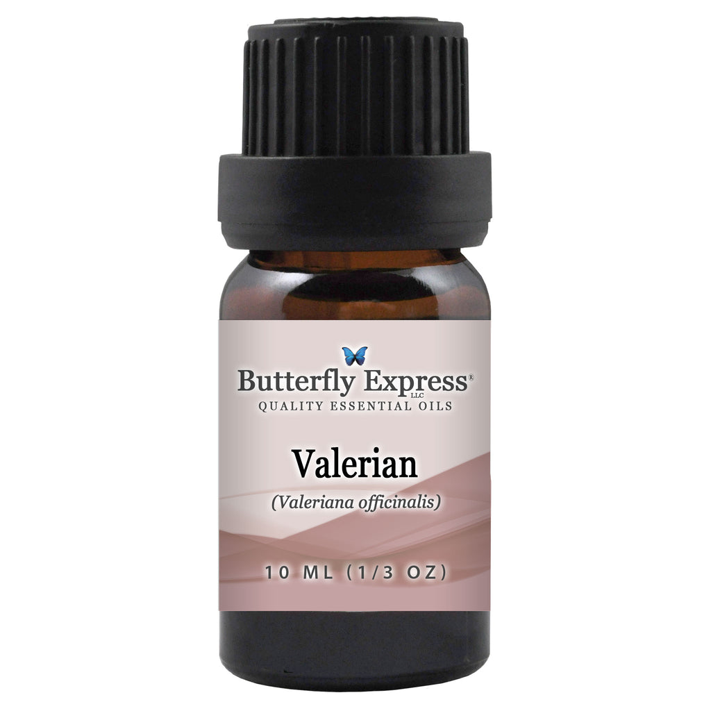 Valerian Root Essential Oil  <h6>Valeriana officinalis</h6>
