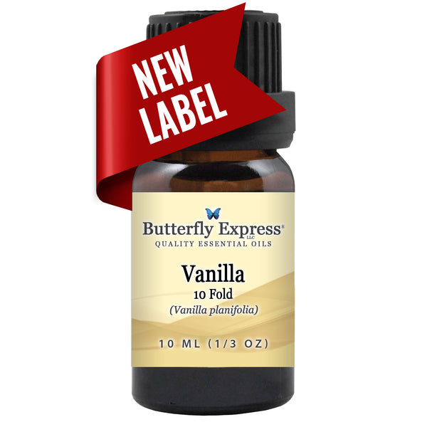 Vanilla 10 Fold Essential Oil Wholesale  <h6>Vanilla planifolia</h6>