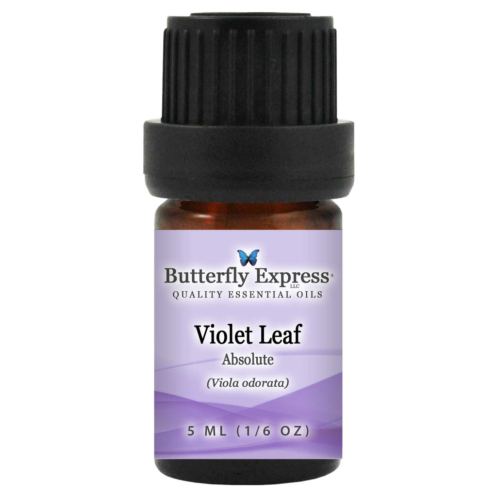 Violet Leaf Absolute Essential Oil  <h6>Viola odorata</h6>