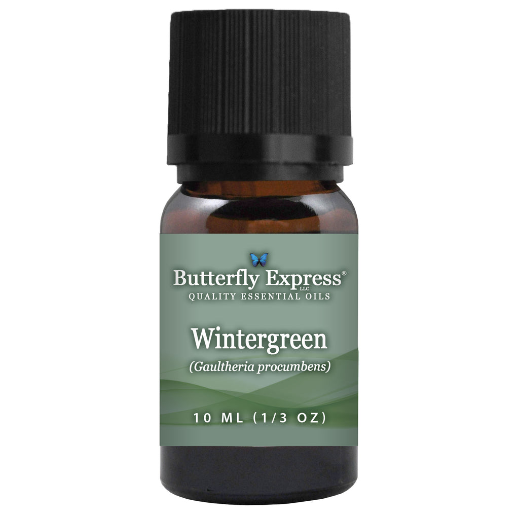 Wintergreen Essential Oil  <h6>Gaultheria procumbens</h6>