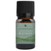 Wintergreen Essential Oil  <h6>Gaultheria procumbens</h6>