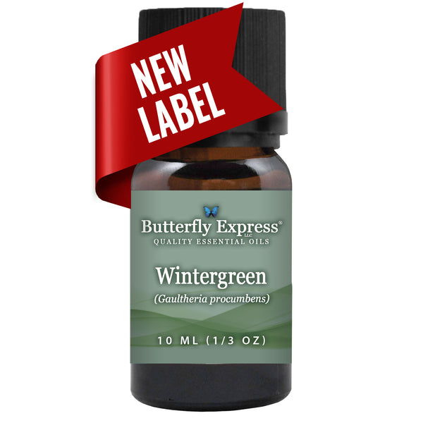 Wintergreen Essential Oil Wholesale  <h6>Gaultheria procumbens</h6>