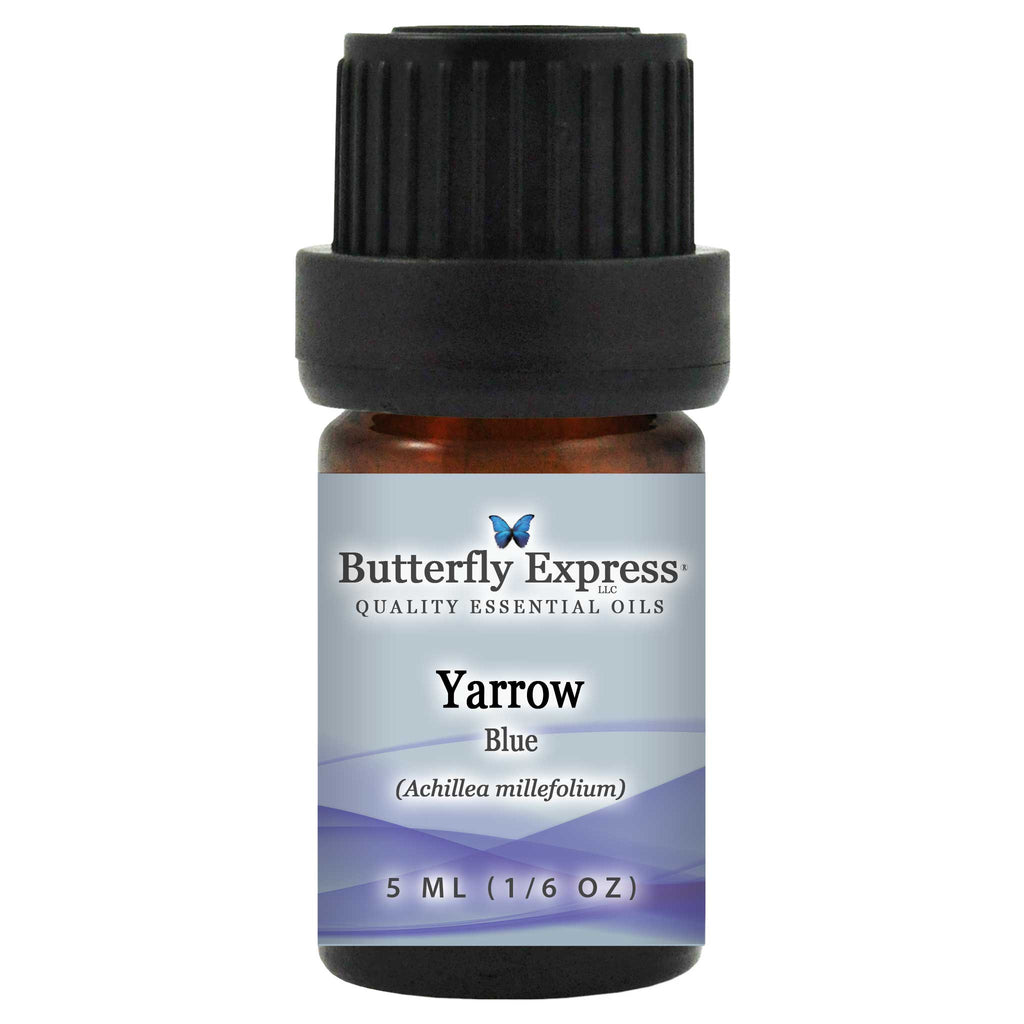 Yarrow Blue Essential Oil  <h6>Achillea millefolium</h6>