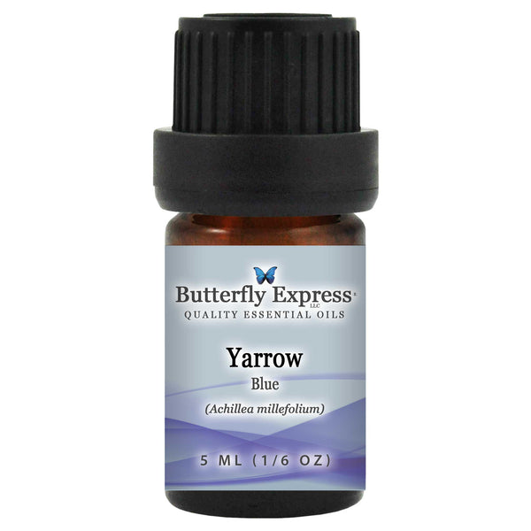 Yarrow Blue Essential Oil  <h6>Achillea millefolium</h6>