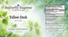 Yellow Dock Tincture  <h6>Rumex crispus</h6>