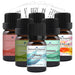 August Essential Oil Special