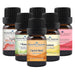 September Essential Oil Special