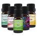July Essential Oil Special