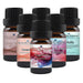 February Essential Oil Special