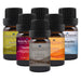 May Essential Oil Special