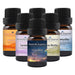 November Essential Oil Special