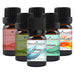 August Essential Oil Special