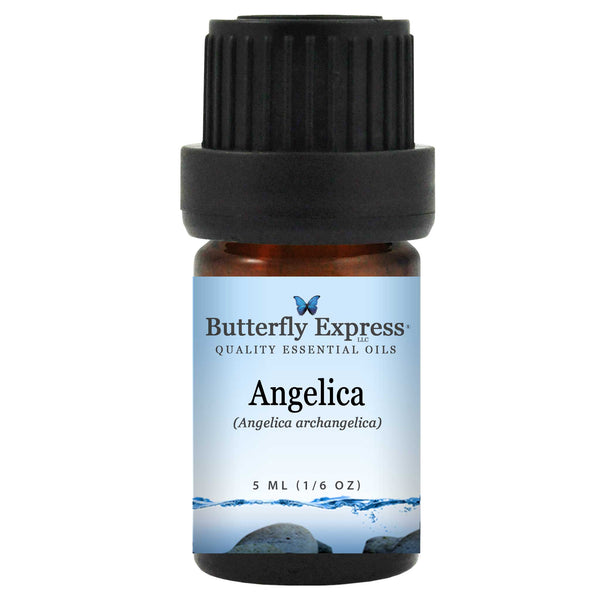 Angelica Essential Oil Wholesale  <h6>Angelica archangelica</h6>