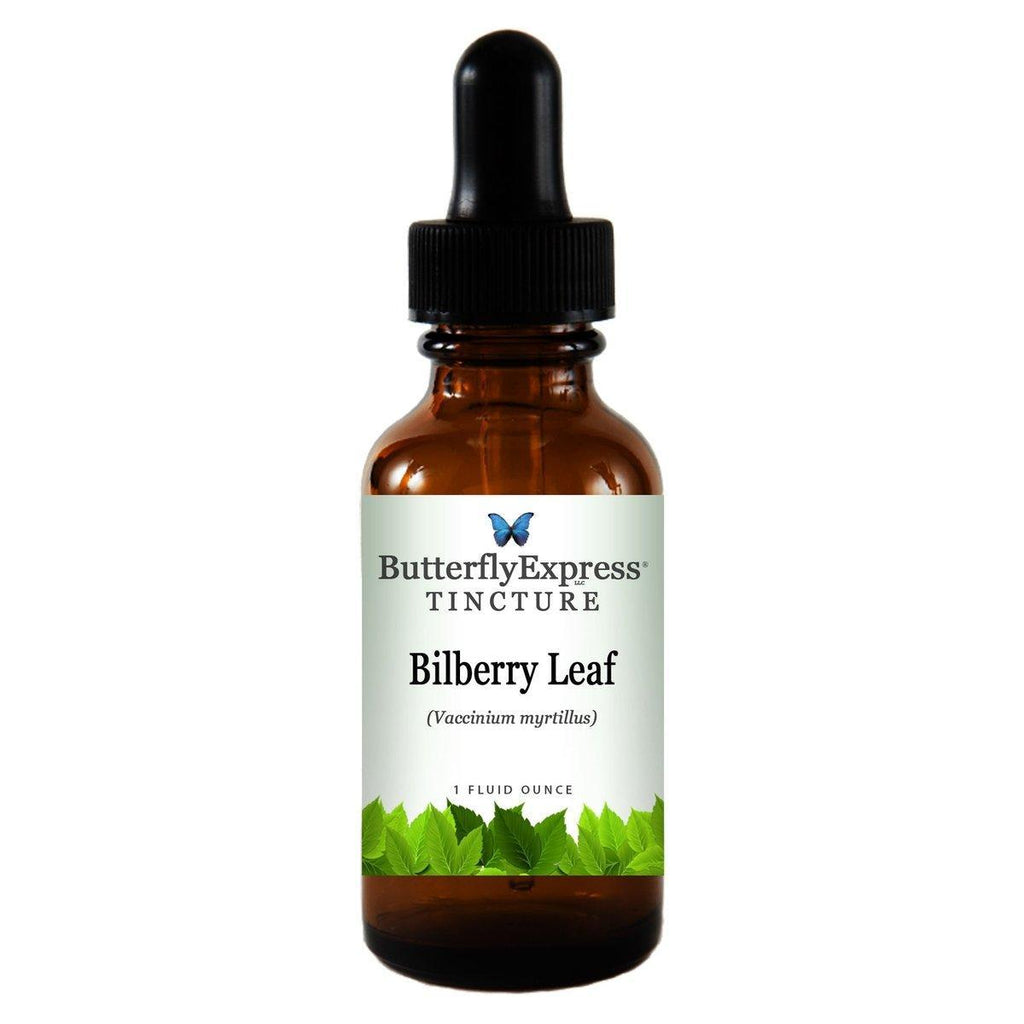 Bilberry Leaf Tincture<h6>Vaccinium myrtillus  </h6>