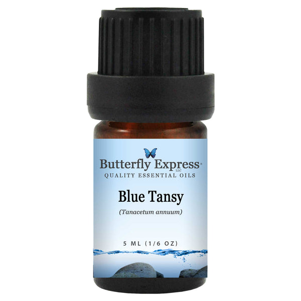 Blue Tansy Essential Oil  (Tanacetum annuum)