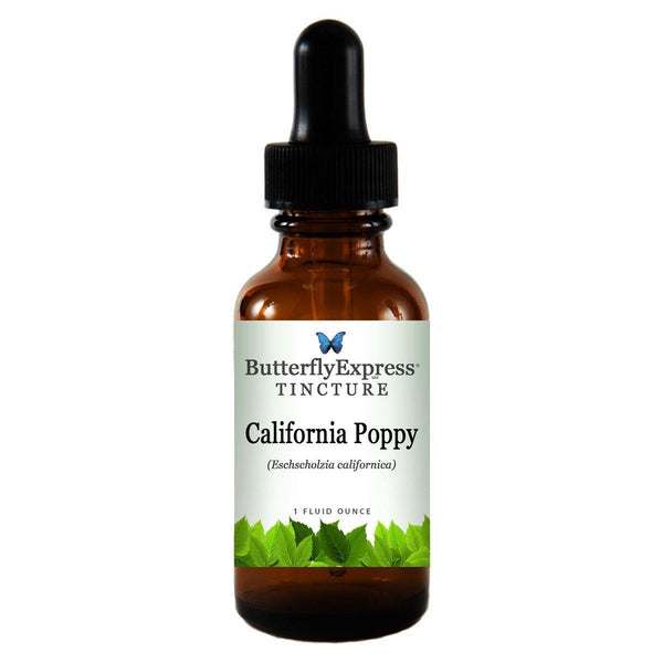 California Poppy Tincture  <h6>Eschscholzia californica</h6>